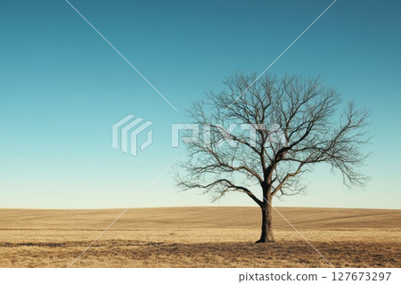 A lone tree stands in a field of dry grass A lone tree stands in a field of dry grass 127673297