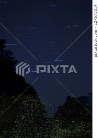 A collaboration of dancing fireflies and star trails 127673614