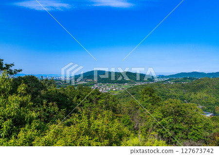 [續日本百座城堡] 一宮城：從德島縣德島市明神丸2號眺望初夏的德島平原 127673742