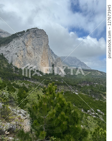 mountain scenery and green forest from the top of the cliff 127673945