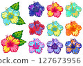 Colorful hibiscus illustration set 127673956
