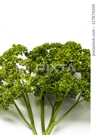 香菜 127674209