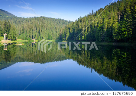 scenic landscape with lake among coniferous forest. green environment in the heart of synevyr national park. peaceful sunny morning in summer with blue sky scenic landscape with lake among coniferous forest. green environment in the heart of synevyr national park. peaceful sunny morning in summer with blue sky 127675690