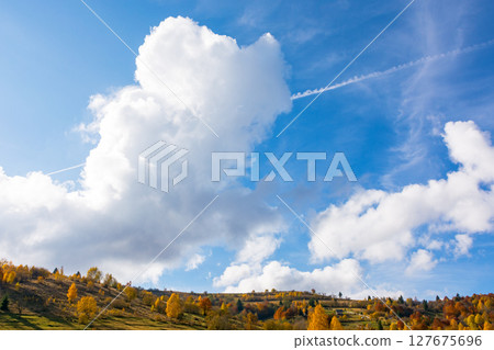 white cumulus clouds on a blue sky. wonderful nature background of atmosphere condition in day light. bright autumn weather forecast. fresh air. scenic cloudscape 127675696