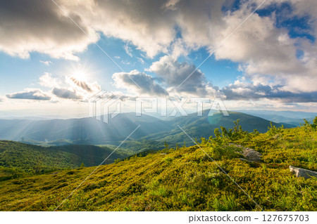 carpathian mountain landscape in evening light. panoramic view of ukraine highlands in summer. sunset sky with clouds carpathian mountain landscape in evening light. panoramic view of ukraine highlands in summer. sunset sky with clouds 127675703