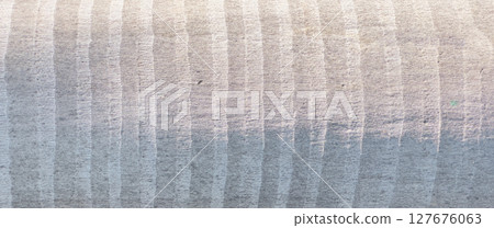 Close up of palm tree trunk with striped, gray bark texture. Organic, rough surface showcasing 127676063