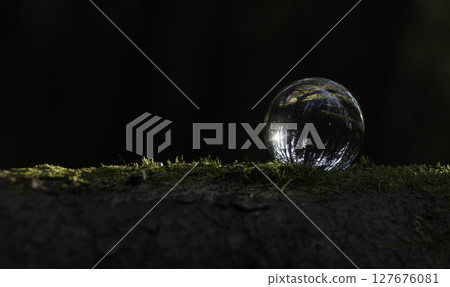 Glass sphere on mossy forest floor reflecting nature. Dark moody background with soft light, organic Glass sphere on mossy forest floor reflecting nature. Dark moody background with soft light, organic 127676081