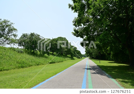 Greenery and trees on the cycling course Greenery and trees on the cycling course 127676251