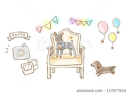 狗狗照片拍攝 127677016