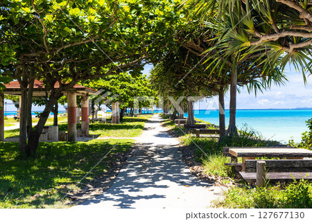 Sea-viewable bench 127677130