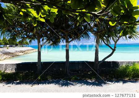 Road where you can see the sea 127677131