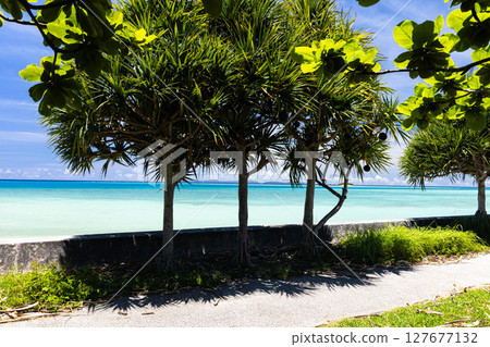 你可以看到大海的道路 127677132