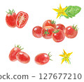 Watercolor painted cherry tomato set 127677210