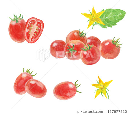 Watercolor painted cherry tomato set 127677210