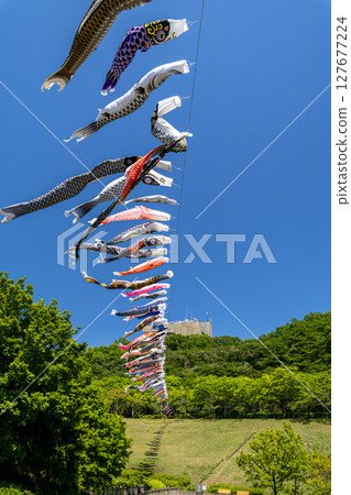 若宮公園:藍天下飄揚的鯉魚旗(神奈川縣厚木市) 若宮公園:藍天下飄揚的鯉魚旗(神奈川縣厚木市) 127677224