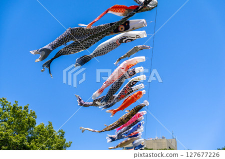 Carp streamer swimming in the blue sky 127677226