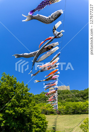 若宮公園：藍天下飄揚的鯉魚旗（神奈川縣厚木市） 127677227
