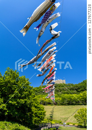 Wakamiya Park: Carp streamers swimming in the blue sky (Atsugi City, Kanagawa Prefecture) Wakamiya Park: Carp streamers swimming in the blue sky (Atsugi City, Kanagawa Prefecture) 127677228