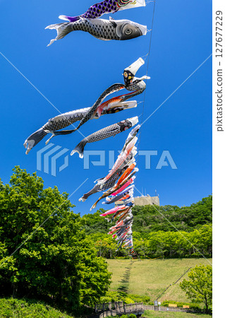 Wakamiya Park: Carp streamers swimming in the blue sky (Atsugi City, Kanagawa Prefecture) 127677229