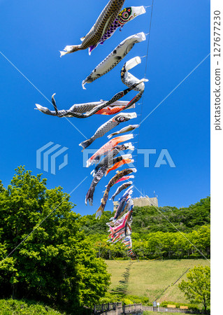 Wakamiya Park: Carp streamers swimming in the blue sky (Atsugi City, Kanagawa Prefecture) Wakamiya Park: Carp streamers swimming in the blue sky (Atsugi City, Kanagawa Prefecture) 127677230