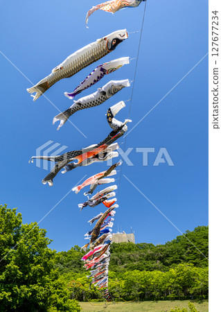 若宮公園：藍天下飄揚的鯉魚旗（神奈川縣厚木市） 127677234