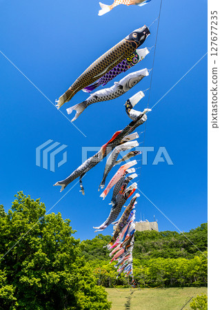 若宮公園：藍天下飄揚的鯉魚旗（神奈川縣厚木市） 127677235