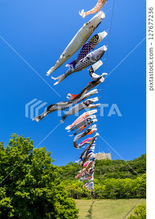 Wakamiya Park: Carp streamers swimming in the blue sky (Atsugi City, Kanagawa Prefecture) 127677236