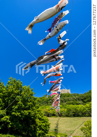 若宮公園：藍天下飄揚的鯉魚旗（神奈川縣厚木市） 127677237