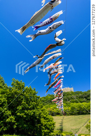 Wakamiya Park: Carp streamers swimming in the blue sky (Atsugi City, Kanagawa Prefecture) 127677239