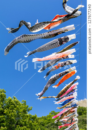 若宮公園:藍天下飄揚的鯉魚旗(神奈川縣厚木市) 若宮公園:藍天下飄揚的鯉魚旗(神奈川縣厚木市) 127677240