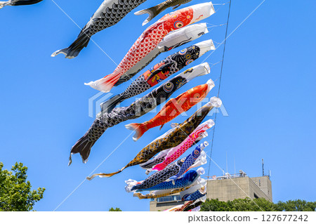 鯉魚stream在藍藍的天空中游泳 鯉魚stream在藍藍的天空中游泳 127677242