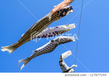 鯉魚stream在藍藍的天空中游泳 127677244