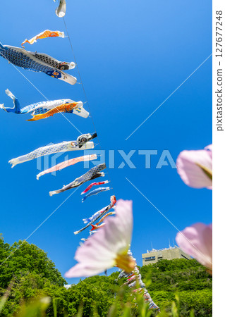 若宮公園：藍天下飄揚的鯉魚旗（神奈川縣厚木市） 127677248
