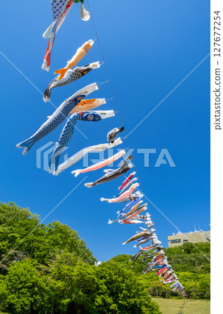 若宮公園:藍天下飄揚的鯉魚旗(神奈川縣厚木市) 若宮公園:藍天下飄揚的鯉魚旗(神奈川縣厚木市) 127677254