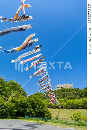 Wakamiya Park: Carp streamers swimming in the blue sky (Atsugi City, Kanagawa Prefecture) Wakamiya Park: Carp streamers swimming in the blue sky (Atsugi City, Kanagawa Prefecture) 127677257