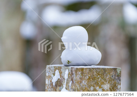 一隻小雪鳥被放置在石柱上 一隻小雪鳥被放置在石柱上 127677564
