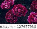 Purple tulips. 127677938