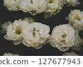 White flowers. 127677943