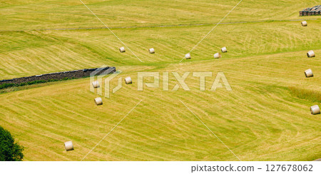 View Of Rural Landscape Field Meadow, Germany 127678062
