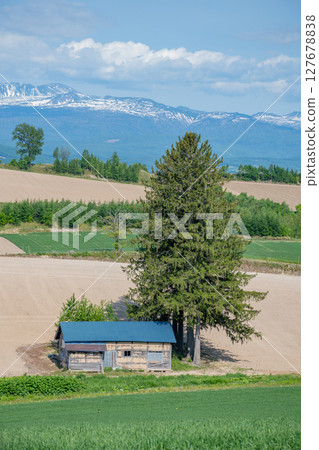 Snow-capped mountains and an old hut in a field 127678838