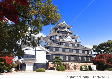 [Okayama Prefecture] Okayama Castle's castle tower in autumn colors (after major renovation in the Reiwa era) 127678887