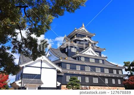 [Okayama Prefecture] Okayama Castle's castle tower in autumn colors (after major renovation in the Reiwa era) 127678889