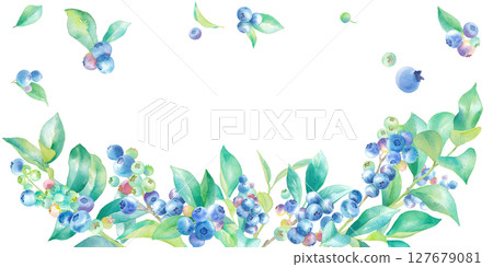 藍莓的水彩插圖。框架設計。 127679081