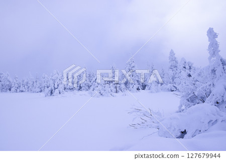Japan, Nagano Prefecture, Shiga Kogen, Yakebitaiyama Shrine Japan, Nagano Prefecture, Shiga Kogen, Yakebitaiyama Shrine 127679944