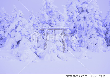 Japan, Nagano Prefecture, Shiga Kogen, Yakebitaiyama Shrine Japan, Nagano Prefecture, Shiga Kogen, Yakebitaiyama Shrine 127679946
