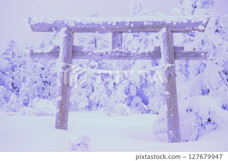 Japan, Nagano Prefecture, Shiga Kogen, Yakebitaiyama Shrine 127679947