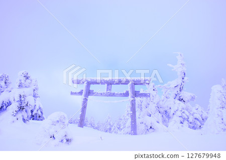 Japan, Nagano Prefecture, Shiga Kogen, Yakebitaiyama Shrine 127679948