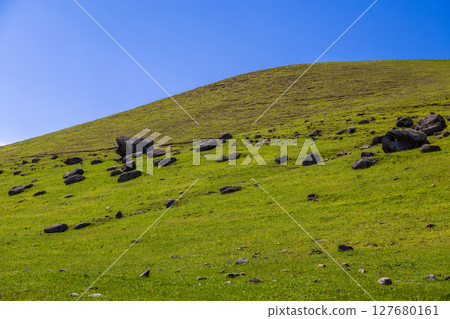 Numerous scattered rocks on serene hillside during daytime in Kyrgyzstan 127680161