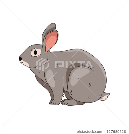 Domestic rabbit isolated or vector easter bunny. Wood or forest hare. Fluffy wildlife animal or woodland fauna. Symbol of April holiday or festive poster element. Herbivore pet with ears and tail. 127680328