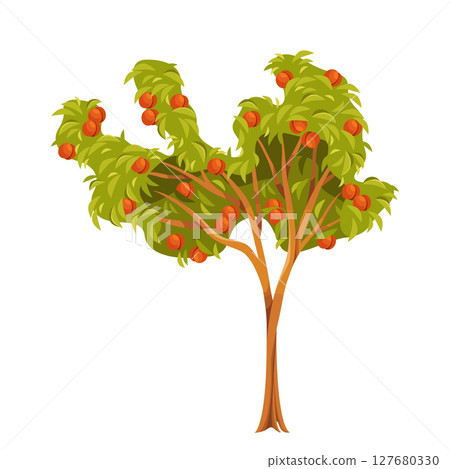 Peach tree clipart or edible fruit seasonal plant symbol. Vector cartoon flora for garden or orchard, farm organic perry or juice harvest. Wood with foliage and branches icon. Nature and horticulture. 127680330